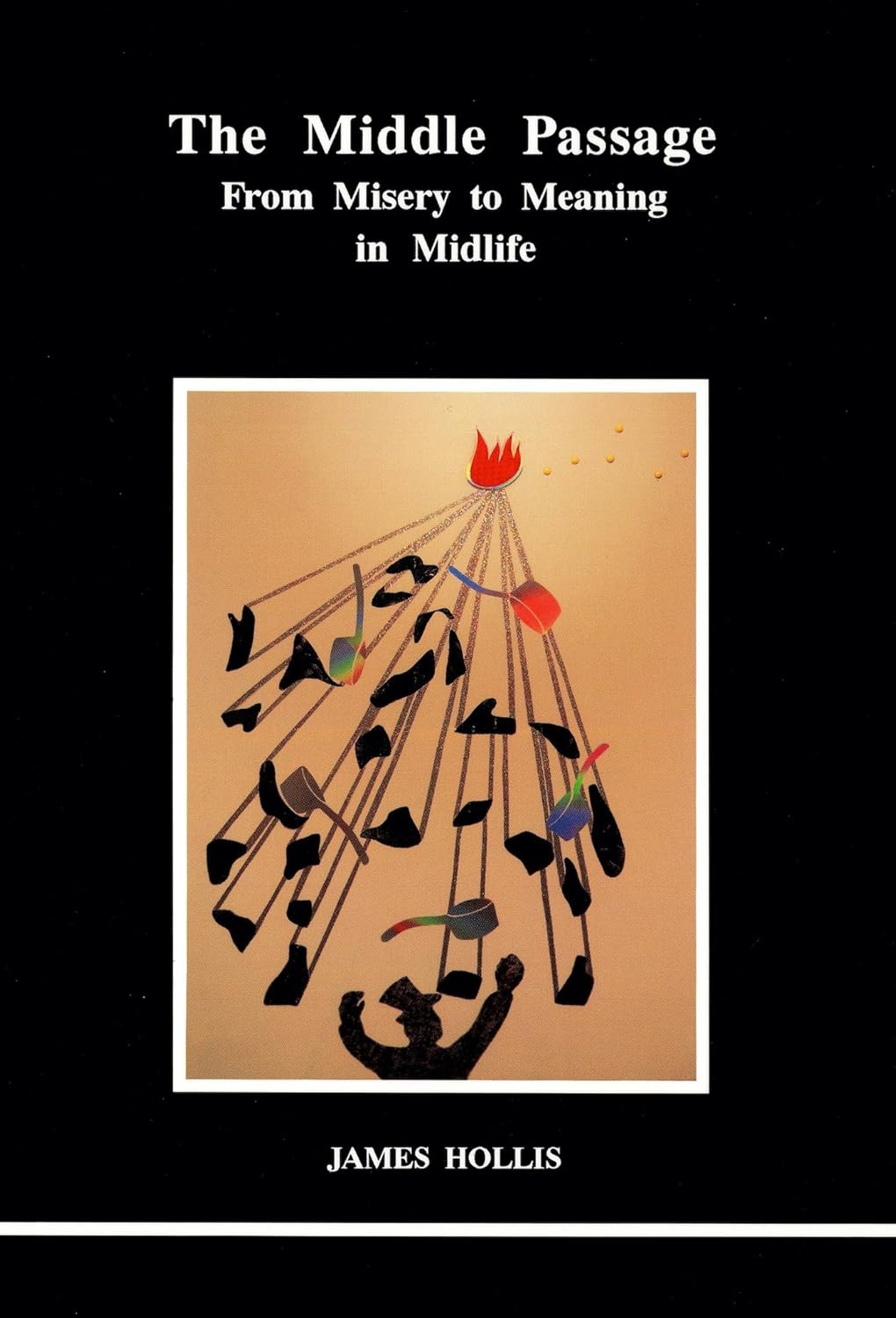 Book cover for The Middle Passage by James Hollis